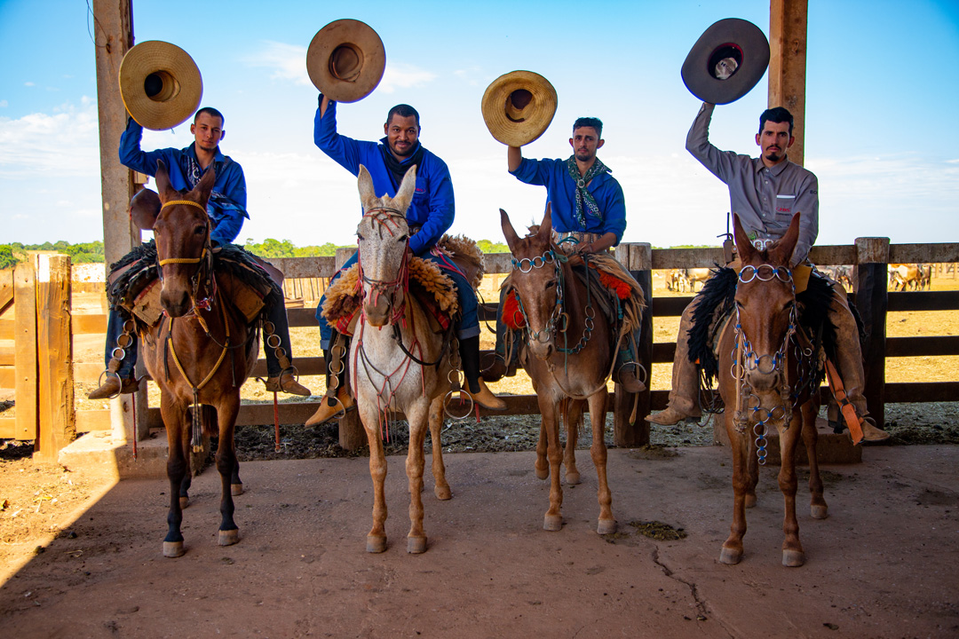 Cattle-herders Cattle-herders